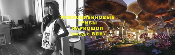 соль ск Алзамай