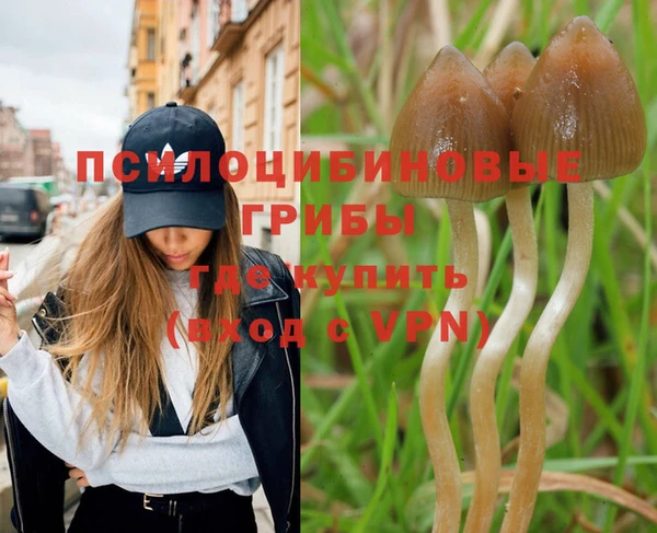 соль ск Алзамай