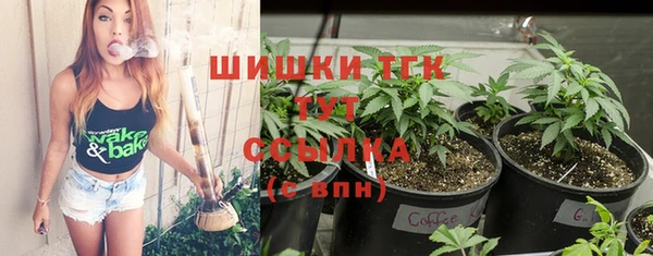 молекула духа Кулебаки