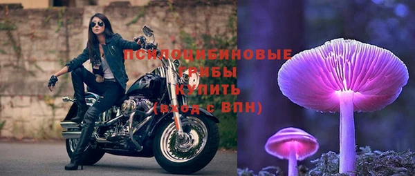 мяу мяу мука Алексеевка