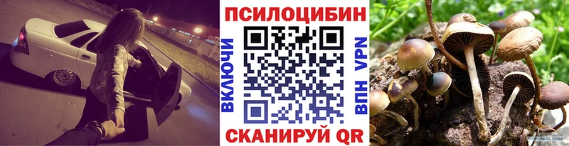 Галлюциногенные грибы GOLDEN TEACHER  ОМГ ОМГ как войти  Дмитров 