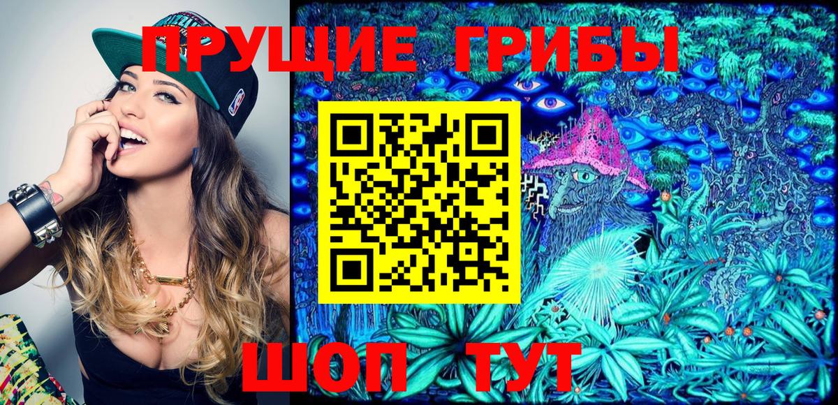 продажа наркотиков  Псилоцибиновые грибы GOLDEN TEACHER  Вход с VPN  Дмитров 